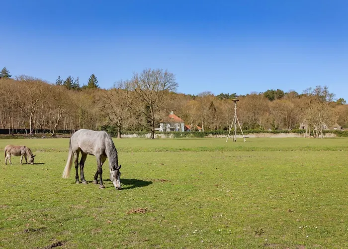 Villa Odyssea Bergen Schoorl