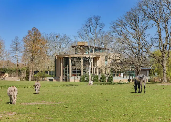 Odyssea Bergen * Schoorl