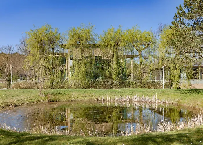 Odyssea Bergen * Schoorl